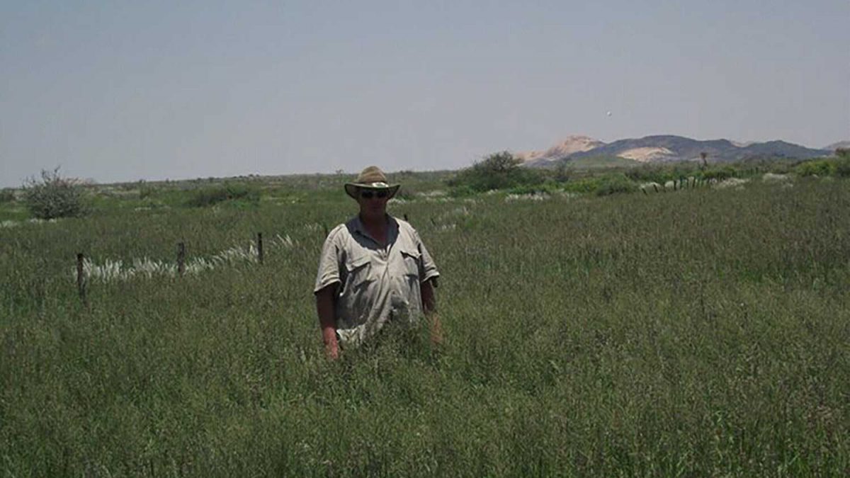 Picture of the rainy season around Donkerhuk West Farm in Namibia