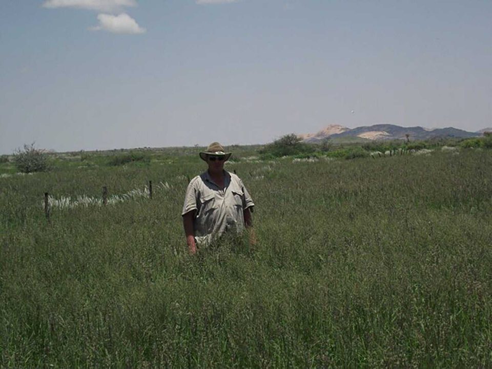 Picture of the rainy season around Donkerhuk West Farm in Namibia